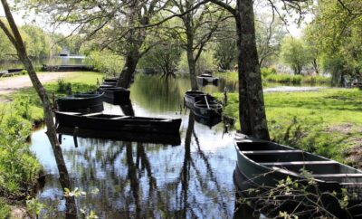 Logement insolite à proximité de Marais de Briere