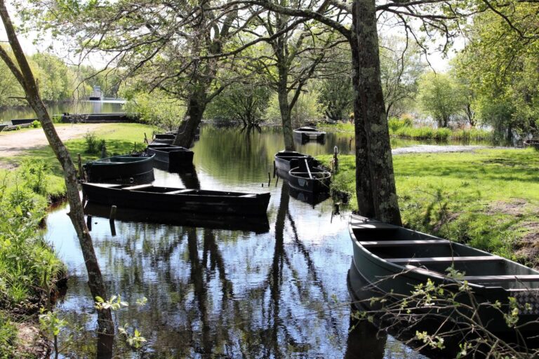 Logement insolite à proximité de Marais de Briere