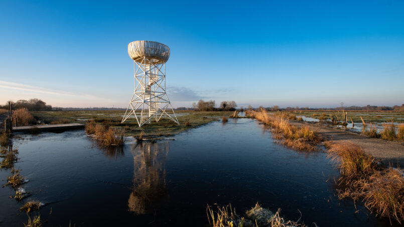 Balade nature : le Sentier du Marais du Fresnier